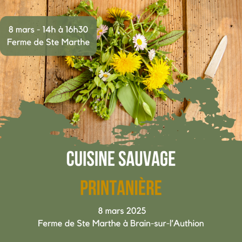 Cuisine sauvage en pleine nature