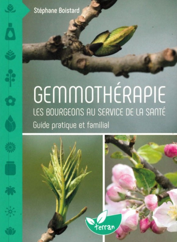Livre, gemmothérpie, les bourgeons au service de la santé, Stéphane Boistard, soin, naturel, cueillette, santé, herboristerie