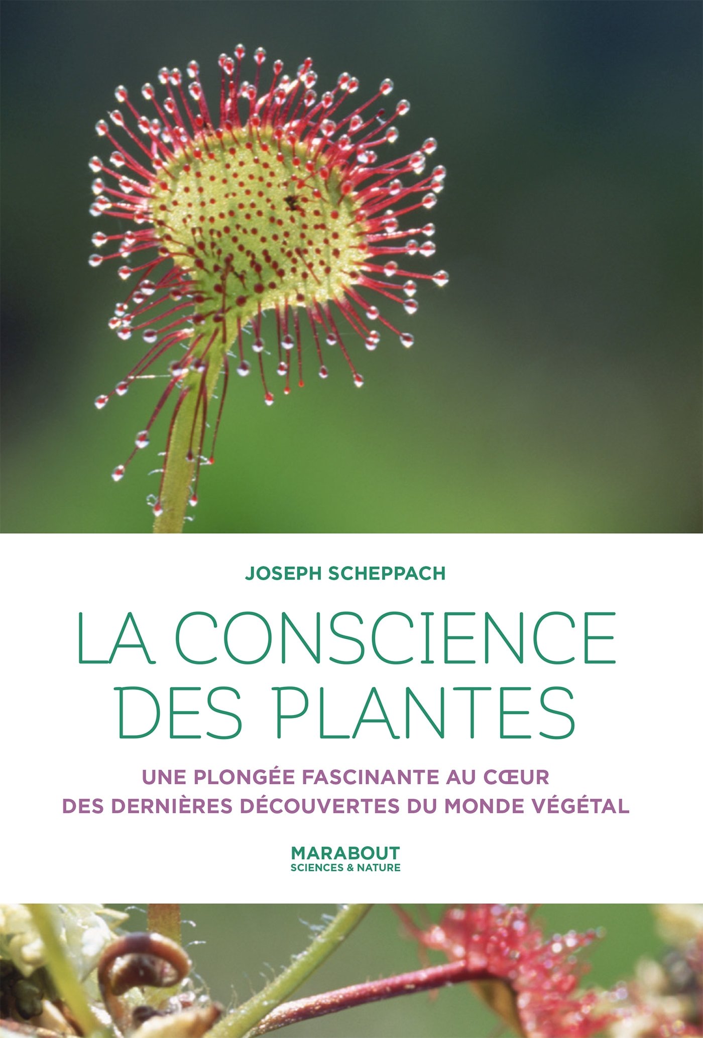 Livre, la conscience des plantes, Joseph Scheppach, plantes, botanique, découverte, science, végétal, sensibilité, conscience