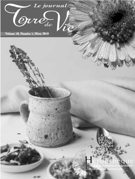 Magazine, Terre de Vie de l'Herbothèque, herboristerie, simple, sensibilité, plantes, spiritualité, amour